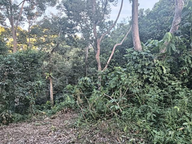 Dusun Durian Kampung 2
