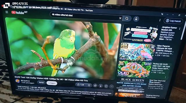 TVLED BRAND PENSONIC VIERA untuk di jual murah. - photo 4 of 6