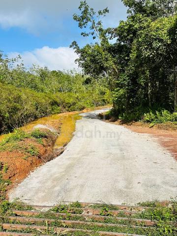 TANAH KEBUN 4.2 EKAR TANAM DURIAN DAN POKOK BUAH / Nyalas jasin Melaka 4
