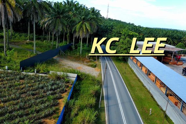 Main Road 4.13 Acres Agriculture Land @ Bukit Teh , Machang Bubok 1
