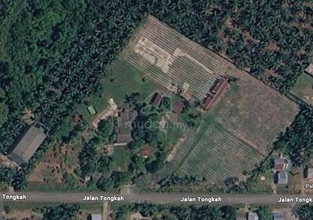 3-Acre Agri Land Morib (Cleared, Fenced, Water, Main Road) 1