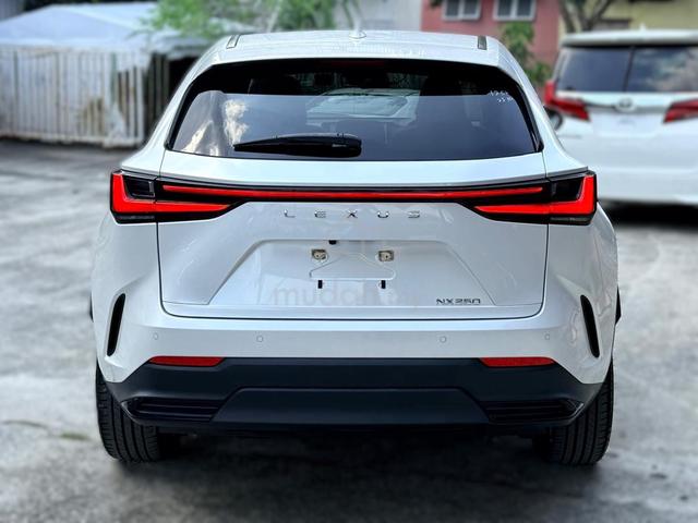 2023 Lexus NX250 2.5 VL (A) 14,000KM S/R MUSTVIEW - 3