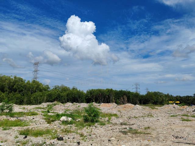 Gelang Patah 2.45 Acre Can Rent Partial Flat Land Main Road 1