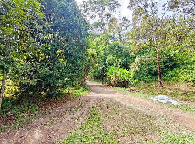 SESUAI UNTUK RESORT ADA SUNGAI Tanah di Janda Baik Bentong Siap Infra 4