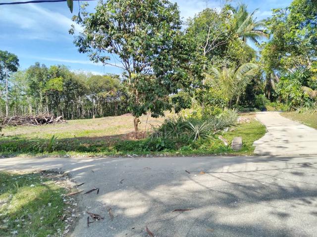 Tapak rumah Kg Bakong Parit panjang Geran 1nama 300 meter direct owner 1