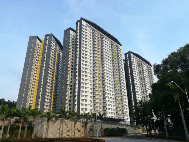 PPA1M Pudina 1