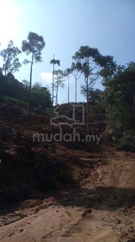 Tanah 2 Ekar ada Air Bukit & Pokok Durian 3
