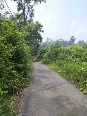 Tanah ,Delong Dungun 1