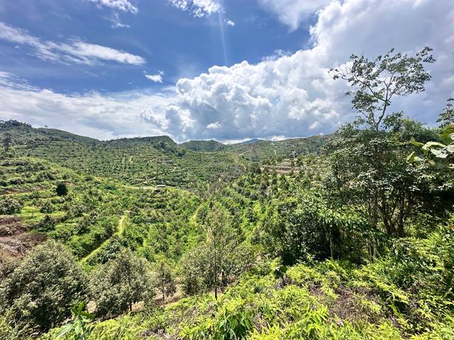 Cheapest Vacant land for sale at Raub suitable for Durian 1