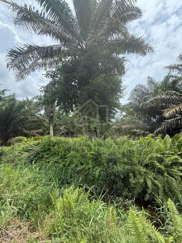 Tanah Untuk Di jual Sungai Naga, Kampung Api-Api Pontian Johor 1