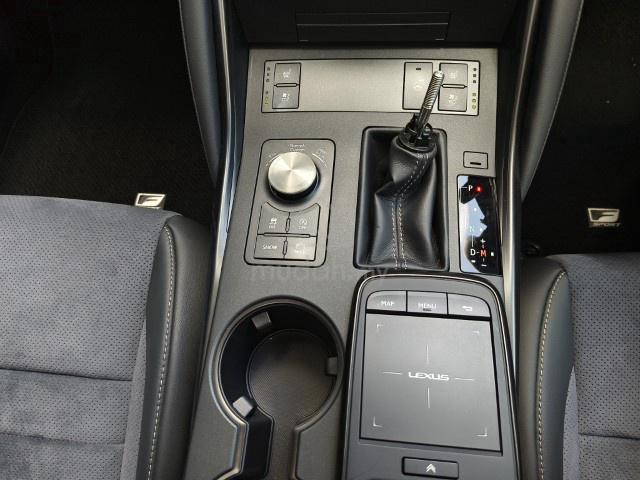 2022 Lexus IS300 2.0 F-SPORT (A) MODE BLACK GRED 5 - 4