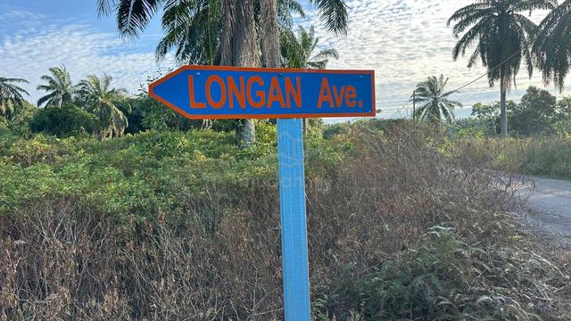 Tanah 1.02ekar Nusa Dusun Kuala Linggi Baru Untuk Dijual 2