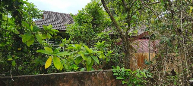 Kampung Lalang Luas 1