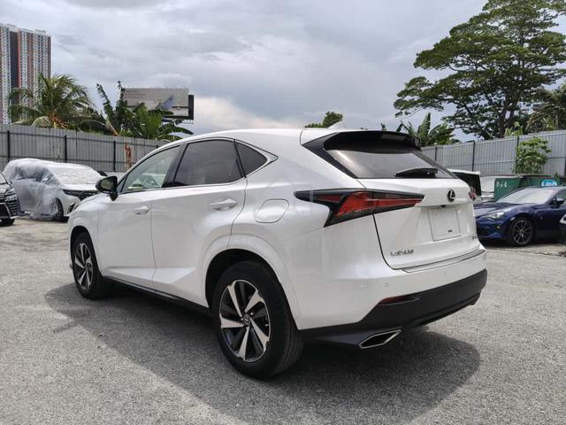 2020 Lexus NX300 2.0 SPICE&CHIC (A) - 4