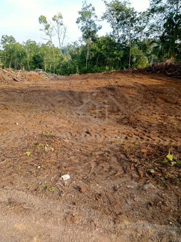 Tanah rata tepi jalan tar bersebelahan lata berdekatan sedim 1