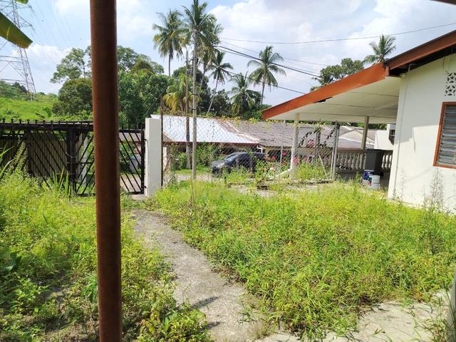 Rumah cantek 1