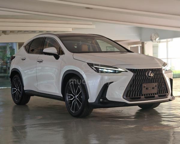 2023 Lexus NX 250 2.5 VERSION-L NX250 HUD DIM 360 - 1