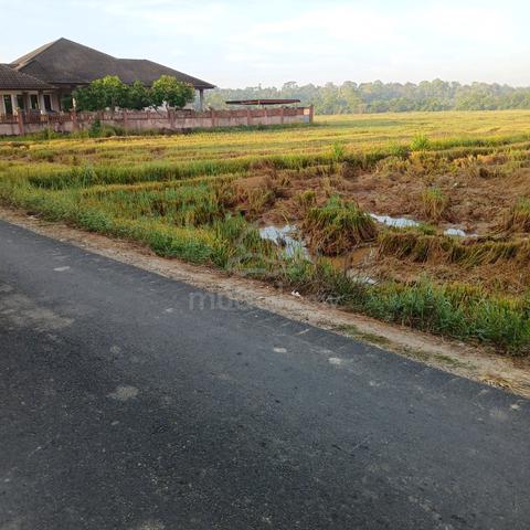 Tnh padi Habis lawa 935D tepi bglo 40m dkt jln tar Kg Sura Dewan Beta 1