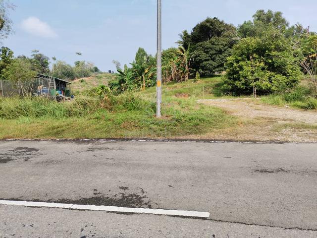 Labuan Agricultural Land | Coconut Cultivation 1