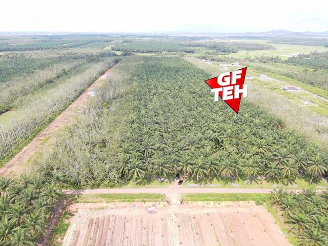 24.57 Relung | Agricultural Land | Pendang | Kedah b 1