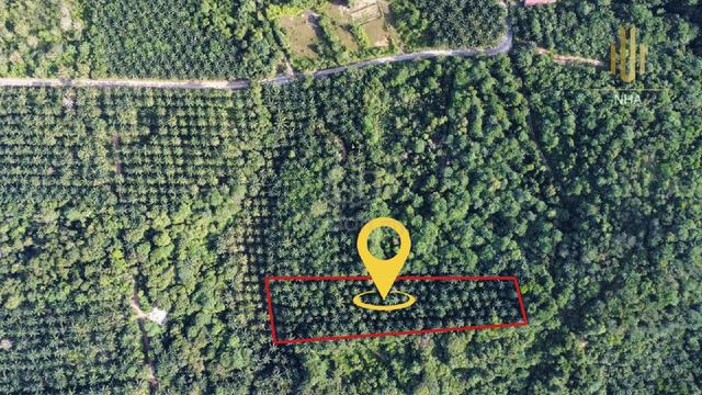 3 acres Agricultural Land Ampar Tenang Dengkil 2