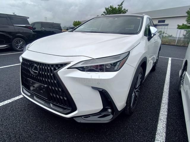 2023 Lexus NX250 2.5standard (A)03445 - 2