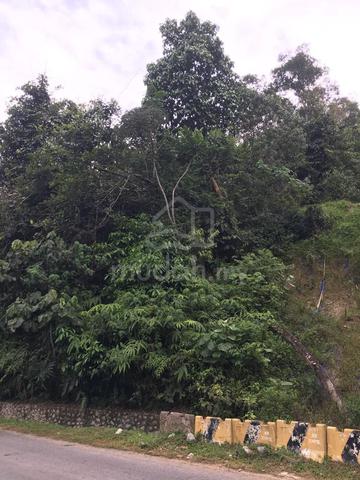 Big Land Next to Main Road Kampung Keru 4.786 Acre 3