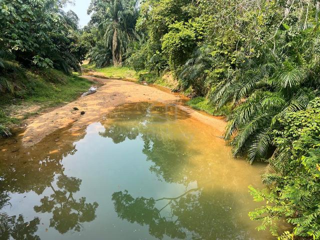 1.4 Acre Agri Land with River, Freehold, Non Bumi, Main Road, 1