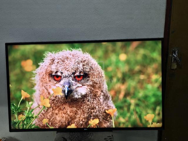 LG 49" smart tv 4k - photo 3 of 6