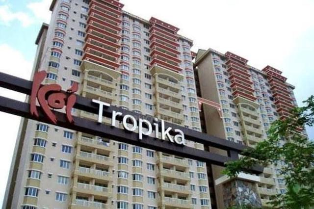 Koi Tropika 1
