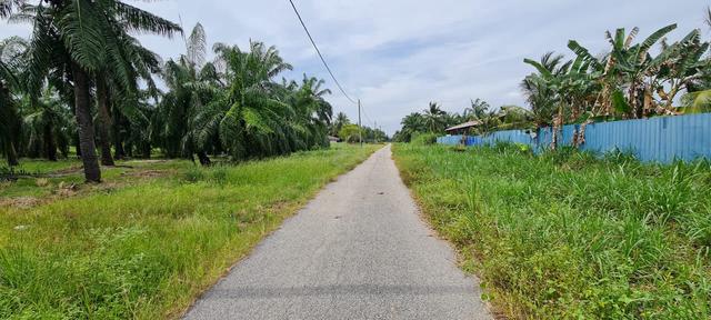 Tanah 1ekar Non Bumi Bandar Kuala Selangor 1
