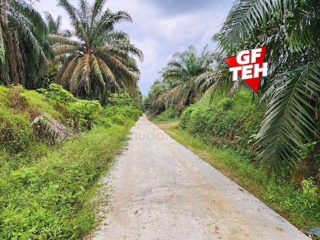 8.46 acre Agricultural Land | Selama | Perak 1