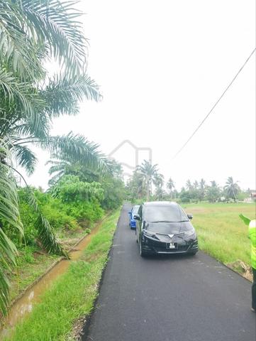 Tanah 1 Ekar Geran Individu di Sabak Bernam 1