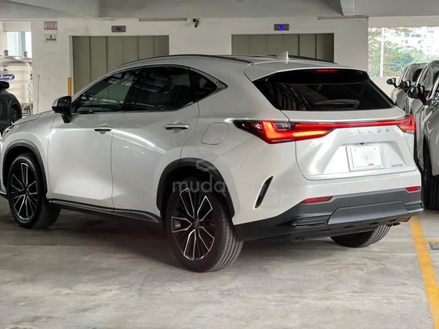 2023 Lexus NX 250 2.5 LUXURY PANORAMIC ROOF HUD - 4