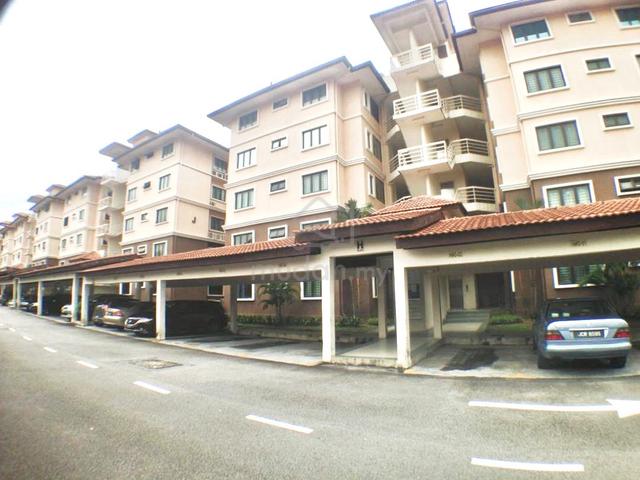 Larkin Residence (Phase One) 1
