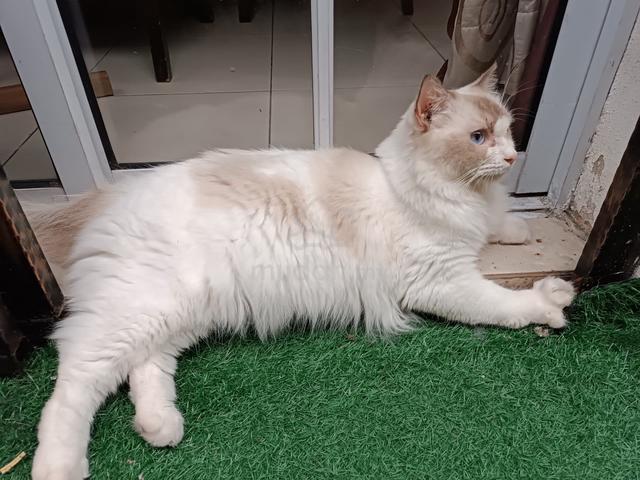 Carousel Image