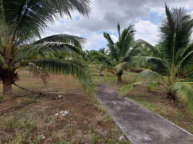 Agriculture Land For Sale 1