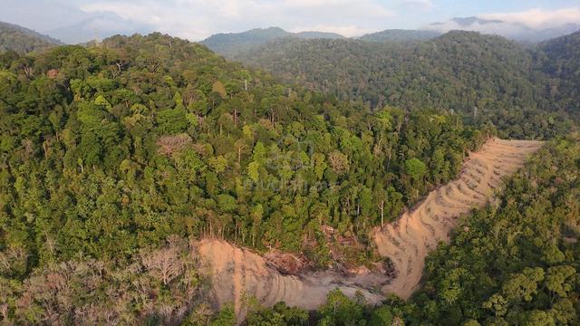 Tanah Pertanian di Ulu Kenas 1