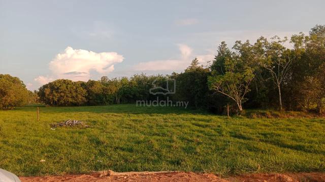 Tanah menarik di Kampung To' Dap, Gelam, Pasir Mas 1