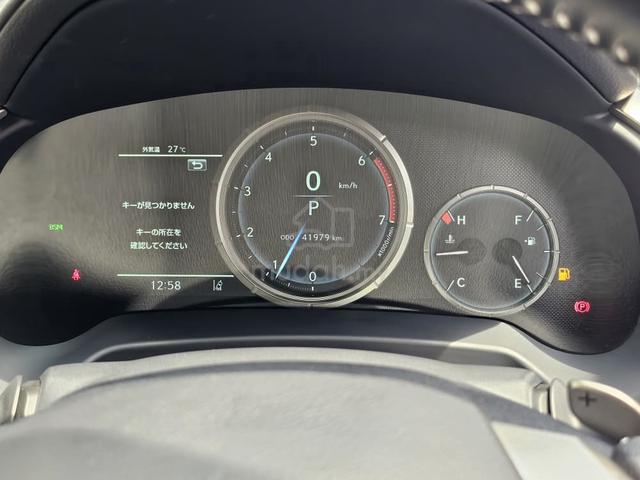 2022 Lexus RX300 F-Sports 6 years warranty Unreg - 4