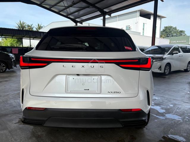 2023 Lexus NX 250 2.5 LUXURY (A) - 4