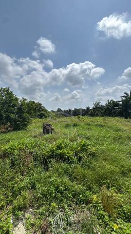 Agro Palm Land Sedili Kota Tinggi | 67,274 sqft | 2 Houses 1