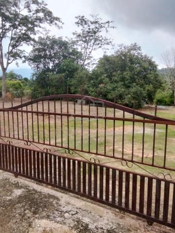Tanah cantek 1