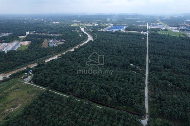 INFRA READY BUMI 127 acres Land Kuala Langat 3