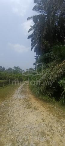 Tanah Hulu Bernam 3 Ekar Freehold Muallim Perak 1