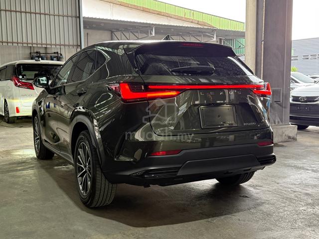 2023 Lexus NX250 Green Terrane Khaki Mica Metal - 5
