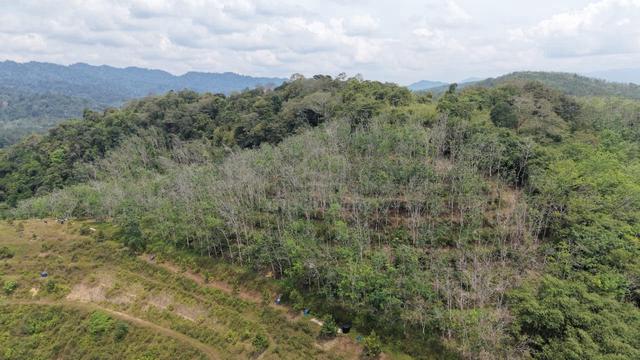 6 Acres Freehold Rubber Hilly Land Kenaboi Titi Jelebu 1