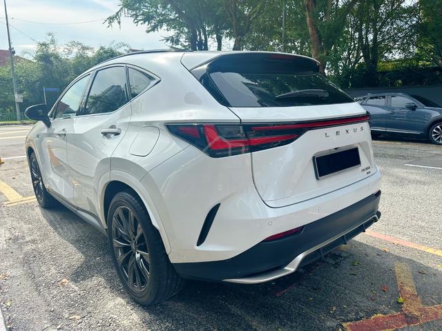 20Ori 2023 Lexus NX 350 2.4 F SPORT Doctor owner - 5