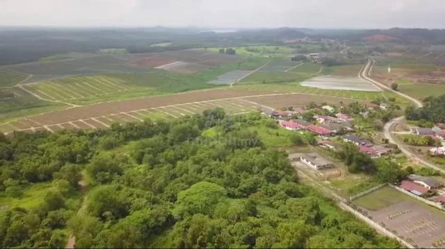 Kluang, freehold agriculture land for sale 1