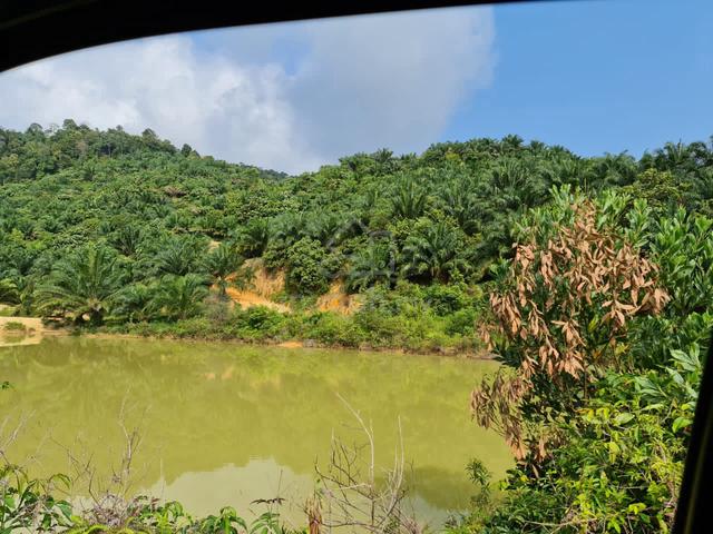 Negeri Sembilan Kuala Pilah Johol 510acre Agriculture Residential Land 4